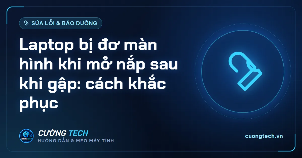 Laptop bị đơ màn hình khi mở nắp sau khi gập: cách khắc phục