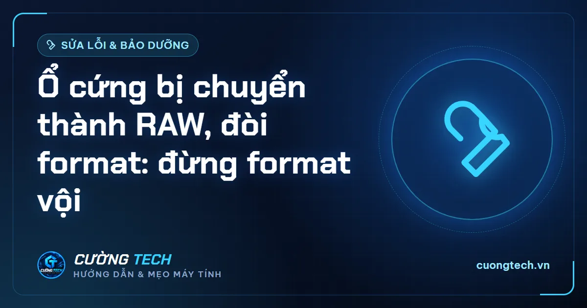 Ổ cứng bị chuyển thành RAW, đòi format: đừng format vội